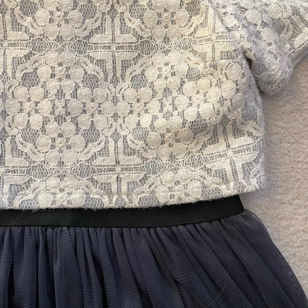 Anthropologie X Weston Charcoal Tulle Dress View 5
